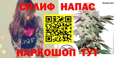 гидра Изобильный