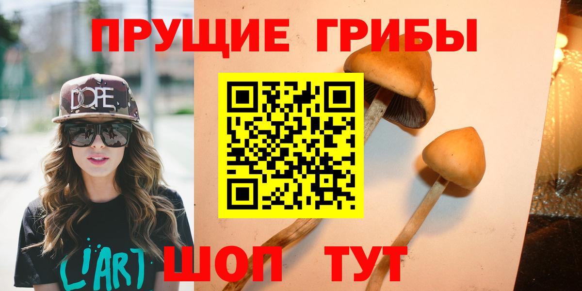 Псилоцибиновые грибы MAGIC MUSHROOMS Заинск